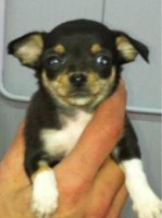 /album/galleria-fotografica/images-21-jpg/